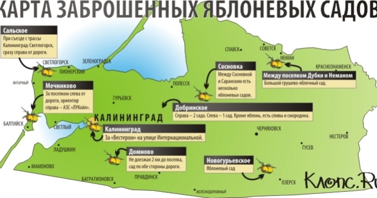 В Калининградской области создают интерактивную карту для инвесторов - РБК