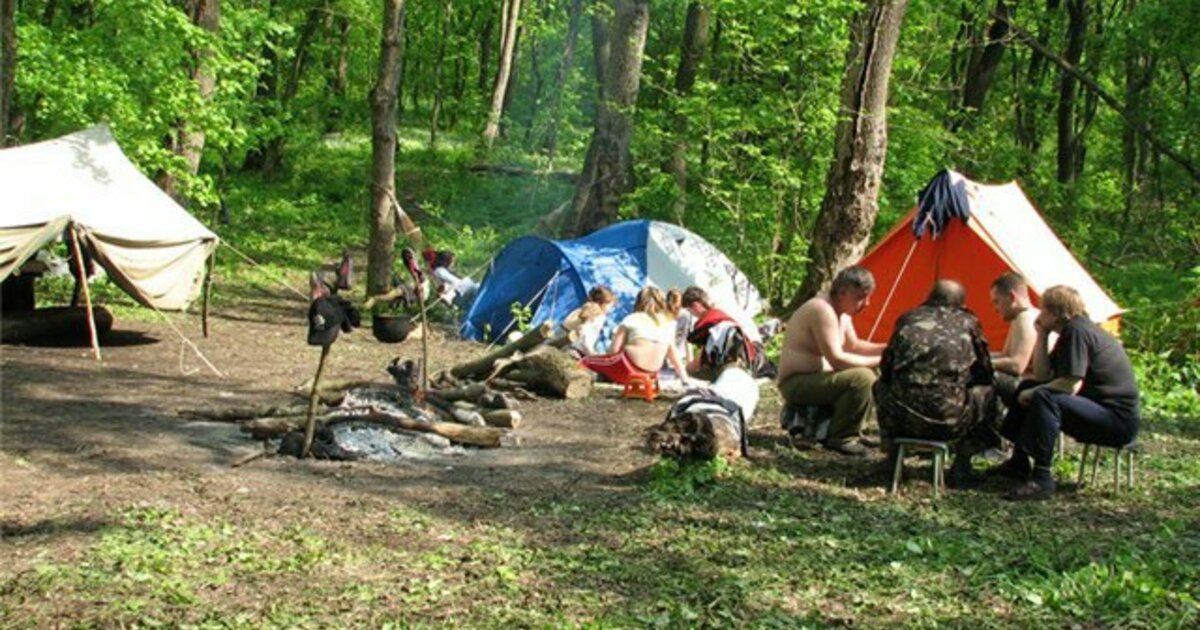 Место отдыха человека от людей. Пикник в лесу. Лес место для отдыха человека. Место отдыха в лесу. Люди на пикнике в лесу.