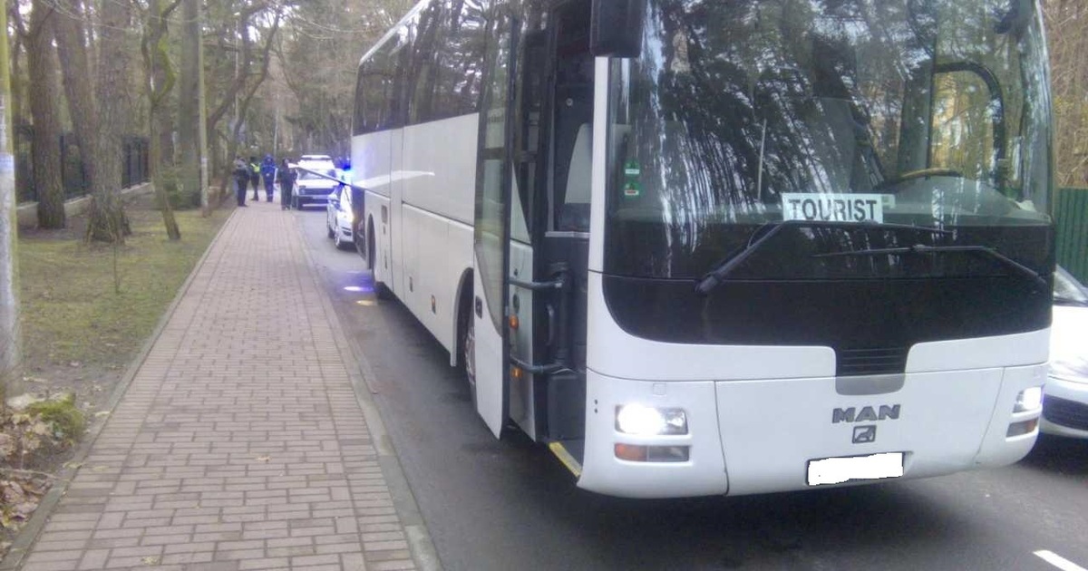 Автобус светлогорск. Автобусы калининград. Шоссейная автобус. Автобусы среднего класса. Калининград отрадное автобус.