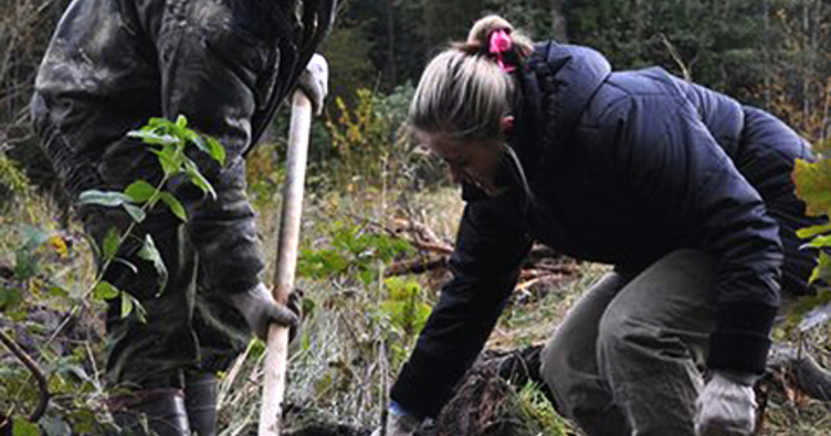 Губаров калининград. Лесничество полесского района. Министерство лесного хозяйства калининградской области. Лесничества калининградской области. Калининградское лесное хозяйство.