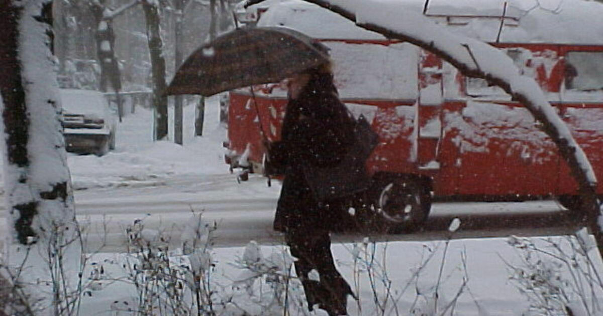 калининград пасмурно. калининградская область зимой. осенний калининград молодежь. похолодание в калининграде. когда пойдёт снег в калининграде.