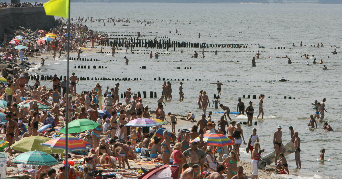 Температура воды в балтийском море зеленоградск. Море в Калининграде в августе. Пляжи Зеленоградска в августе. Море в Калининграде в июле. Балтийское море в августе.