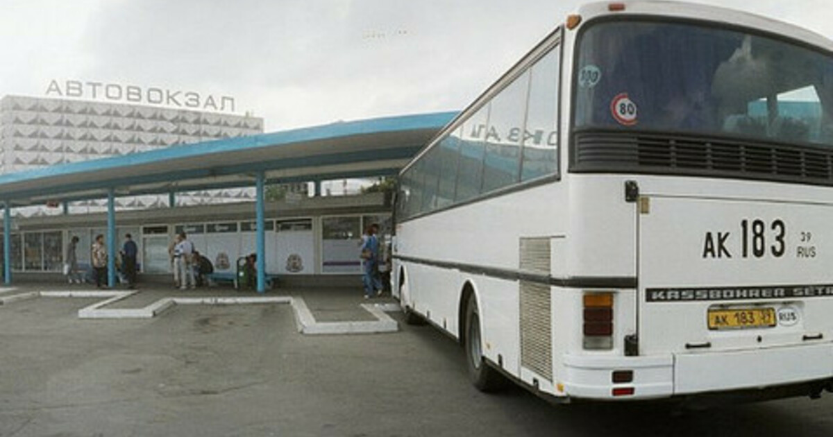 Международный автовокзал автобус. Южный автовокзал Калининград. Автобусы Калининград междугородние. Международный автовокзал. Калининград вокзал автобус.