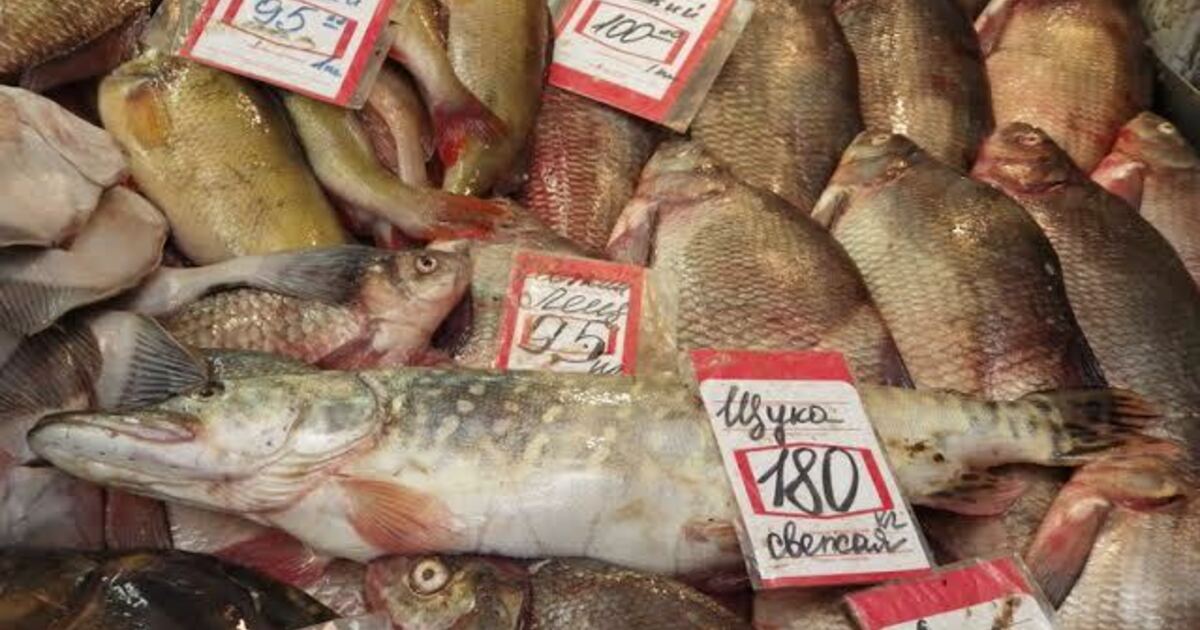 Щука стоимость. Рыба на рынке. Самая дешевая рыба в магазине. Свежая рыба на рынке. Живая рыба в магазине.
