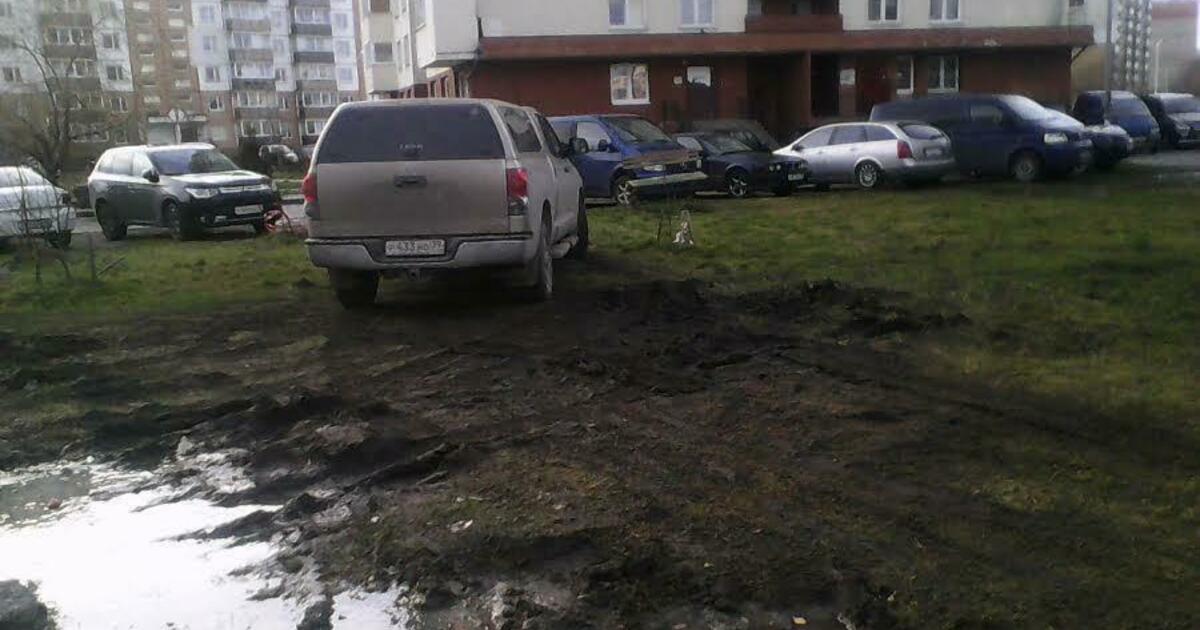 "Водитель, ты… судак": водители уничтожают газон на ул. Маточкина ...