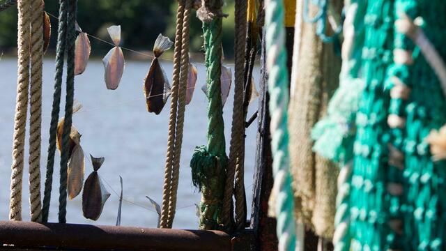 МИД РФ подключился к решению проблемы бастующих в Норвегии калининградских рыбаков 