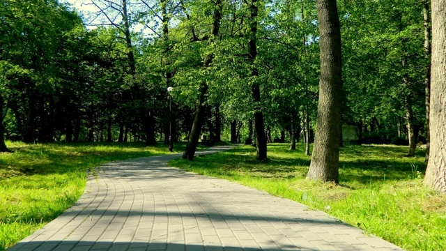 В Зеленоградске появится новый парк 