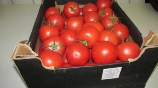 В Минсельхозе назвали условие возврата турецких помидоров на российский рынок