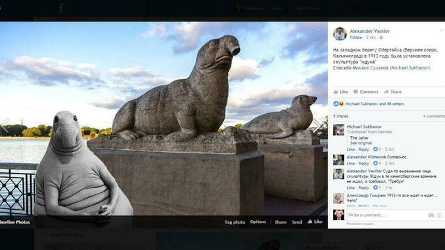 Калининградцы сравнили скульптуру морского слона на Верхнем озере с интернет-мемом 