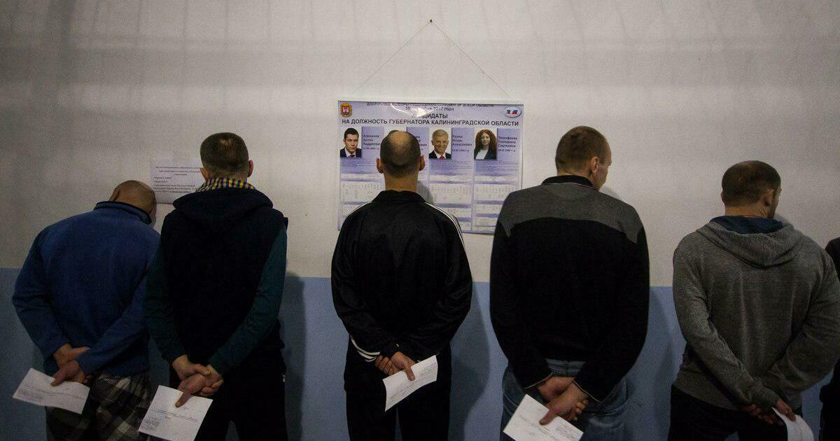 Могут ли голосовать заключенные. Голосование осуждённые. Опрос заключенных. Могут ли осужденные голосовать на выборах.