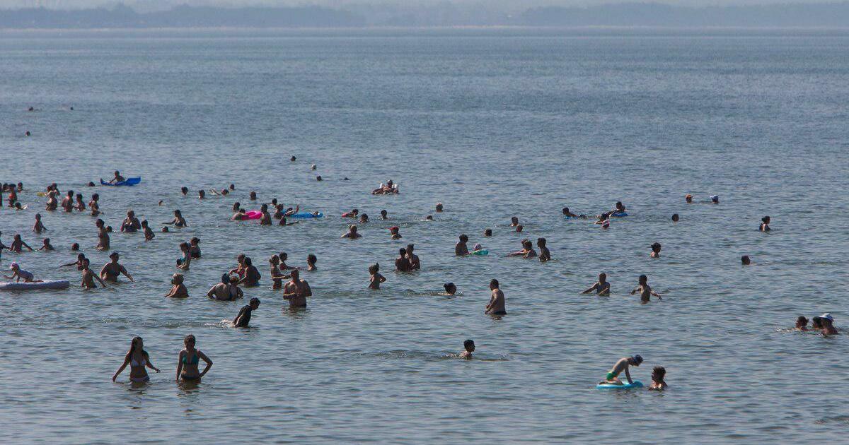 Море градусов. Купаться в Балтийском море в Калининграде. В Балтийском море купаются летом?. Купаются ли в Балтийском море. Люди купаются в Балтийском море.