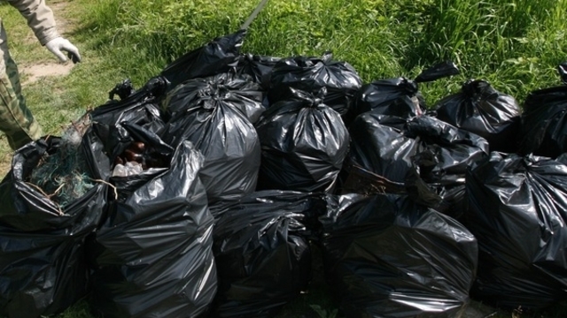 Только каждый десятый калининградец имеет возможность сортировать мусор — 