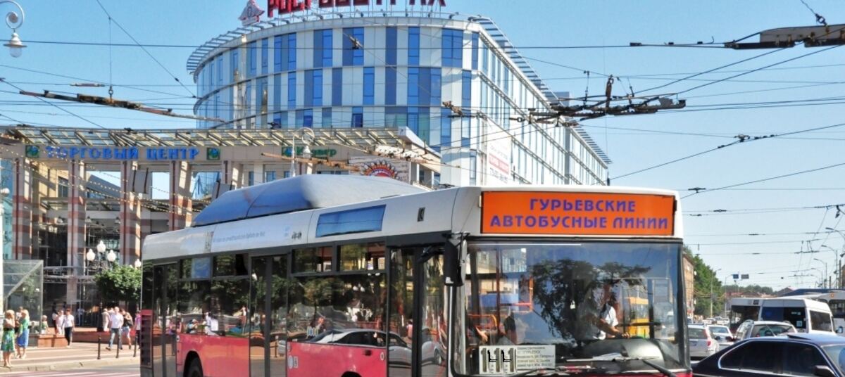 Автовокзал калининград как добраться. Автобусы Калининград. Калининградский автобус. Автостанция Калининград. Автовокзал Калининград.