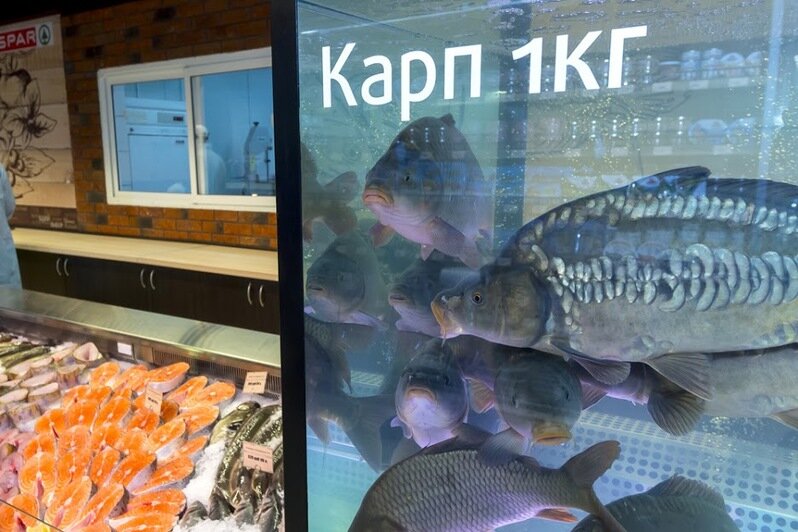 На Балтийском шоссе в Калининграде открылся самый большой Spar - Новости Калининграда