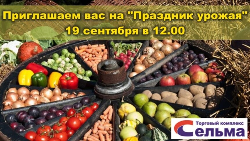 &quot;Сельма&quot; дарит вам продукты:зелень,ягоды, овощи и фрукты - Новости Калининграда