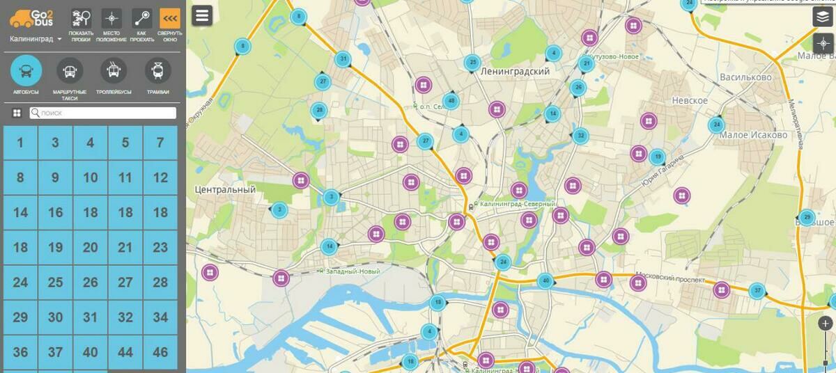 Карта движения общественного транспорта калининграда