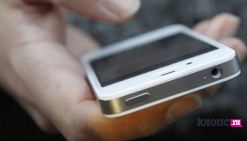 Где можно купить или отремонтировать iPhone по доступной цене? - Новости Калининграда