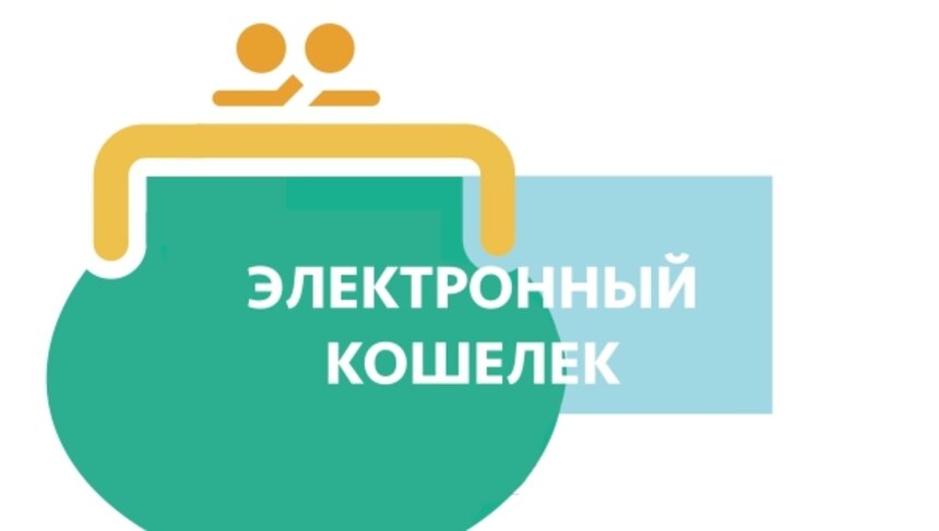Потерять невозможно: зачем нужен электронный кошелёк - Новости Калининграда