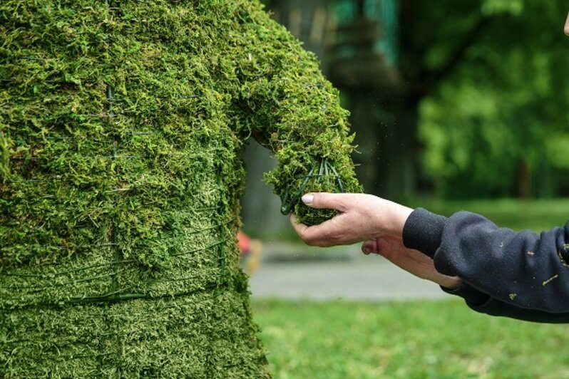 Зеленый мишка вновь в Центральном парке: "Город цветов" продолжает украшать скверы Калининграда - Новости Калининграда