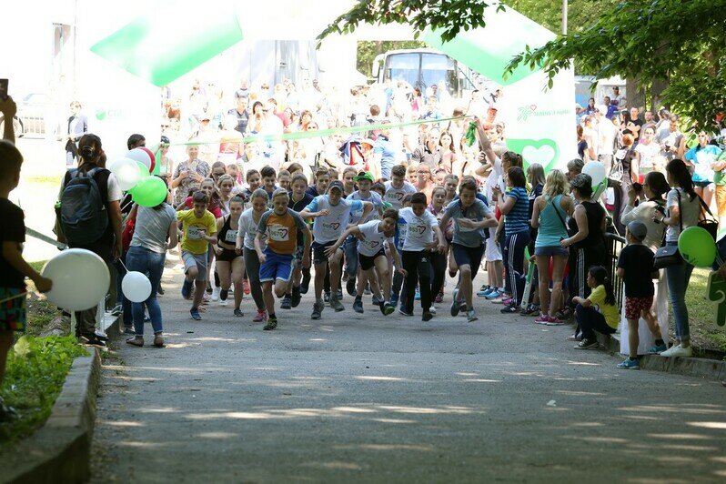 Километры добрых дел пролегли по всей стране: калининградцы поучаствовали в традиционном Зелёном марафоне - Новости Калининграда