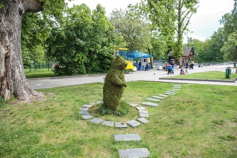 Зеленый мишка вновь в Центральном парке: "Город цветов" продолжает украшать скверы Калининграда - Новости Калининграда