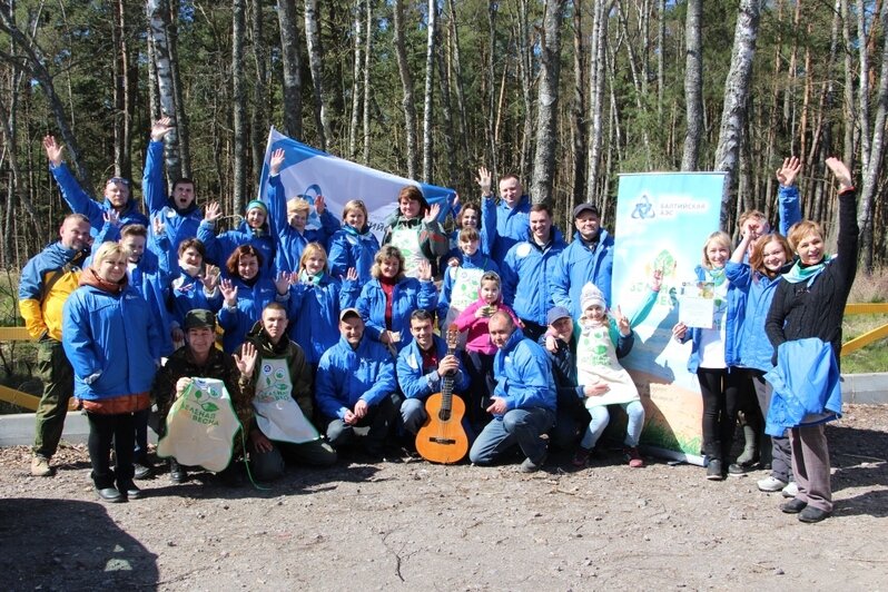 Балтийские атомщики навели порядок в танцующем лесу на Куршской косе  - Новости Калининграда