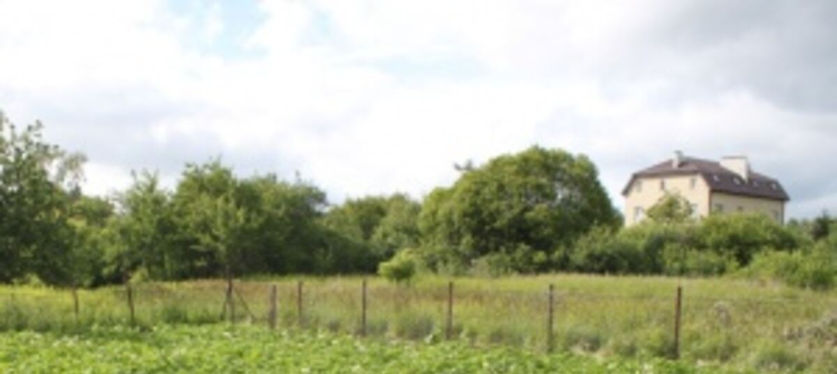 Земля многодетным калининград. Участки многодетным мончегорск. Земля многодетным семьям в уфе. Земля многодетным калининград. Участки для многодетных новоандросово.