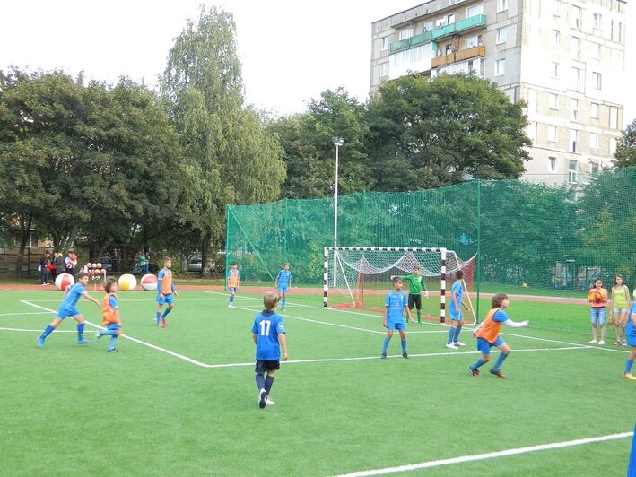 На территории калининградской школы № 31 открылся уникальный спортивный комплекс  - Новости Калининграда