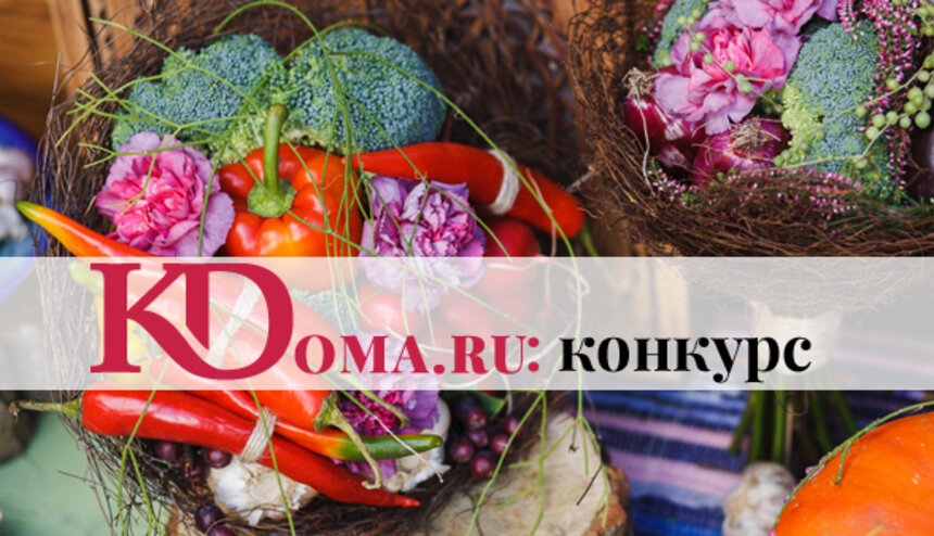 Самые красивые получат подарки: Kdoma.ru объявил конкурс* - Новости Калининграда