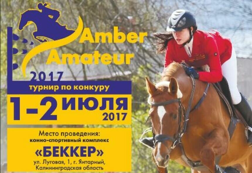 В Янтарном пройдёт открытый турнир по конкуру от Калининградской федерации конного спорта - Новости Калининграда
