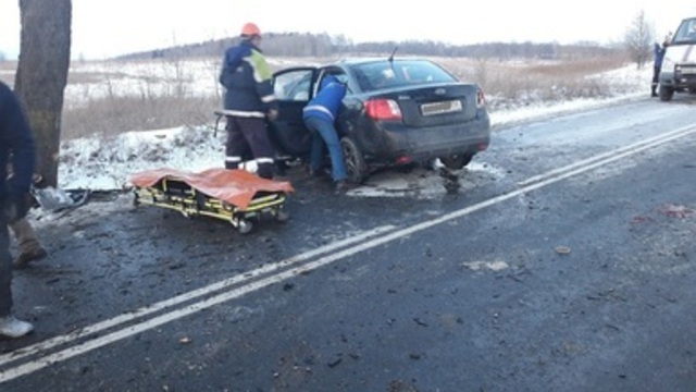 На трассе между Переславским и Янтарным  Kia Rio врезался в дерево, есть пострадавший