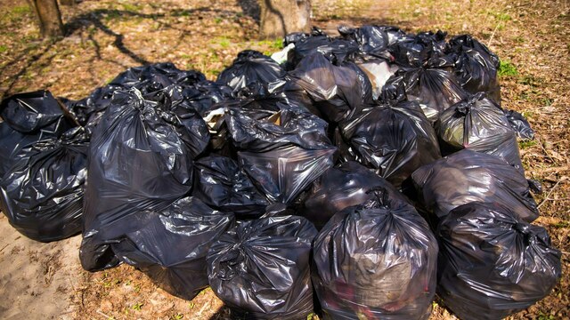 В Зеленоградске прошёл первый субботник с раздельным сбором мусора