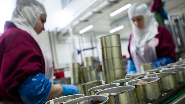 Германия намерена импортировать калининградские консервы из тунца