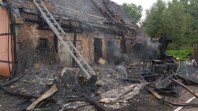 При пожаре в приюте для бездомных животных под Калининградом погибли собаки и кошки