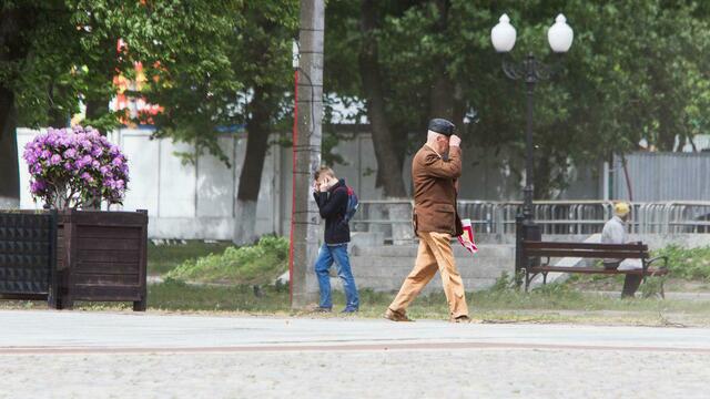 В четверг и пятницу в Калининграде усилится ветер