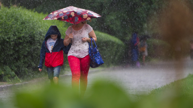 Синоптики обещают калининградцам дождливую неделю