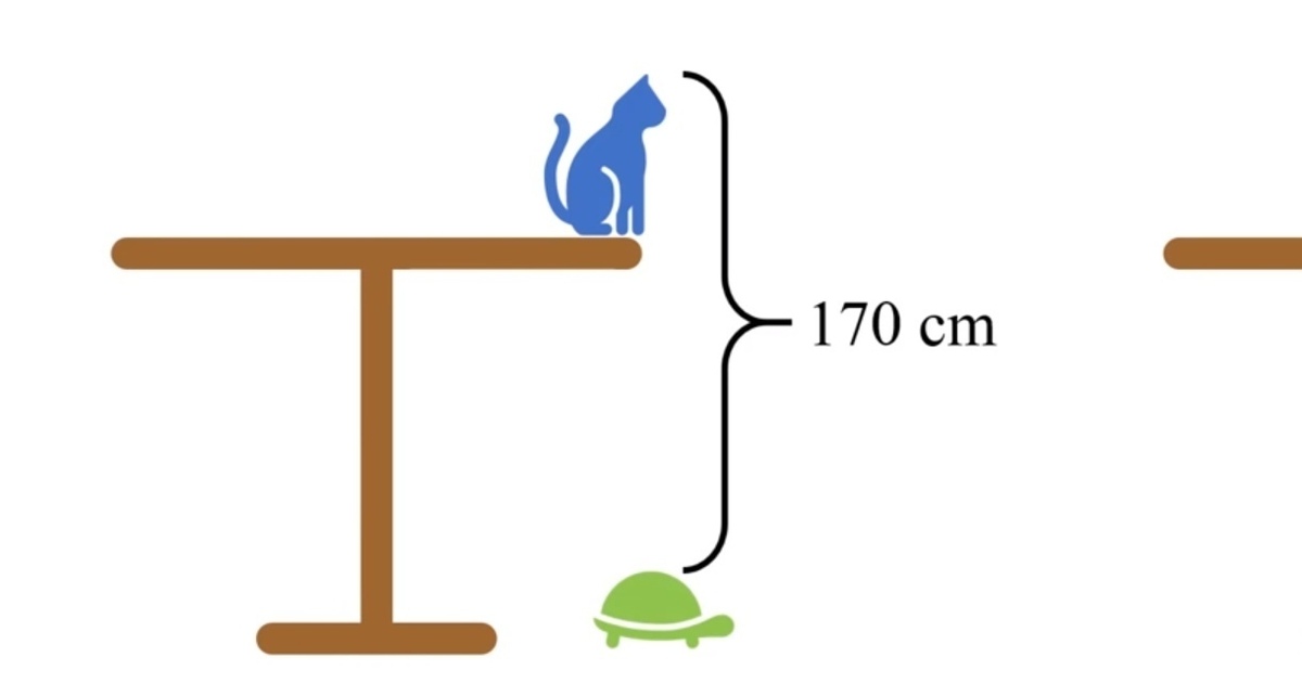Какова высота стола кот и черепаха