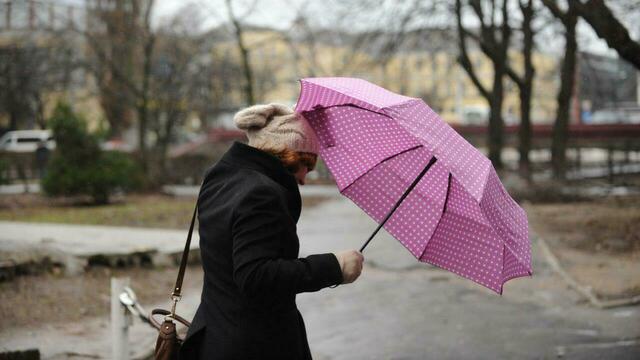 На следующей неделе ветер в Калининграде усилится до 22 м/с
