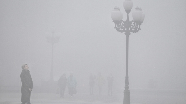 Калининград накрыл туман (фото) 