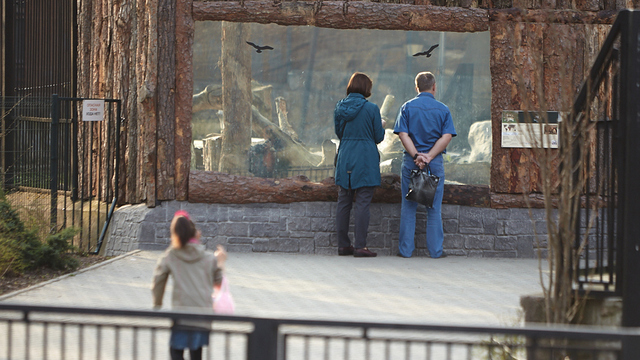 Калининградский зоопарк адаптируют для незрячих посетителей