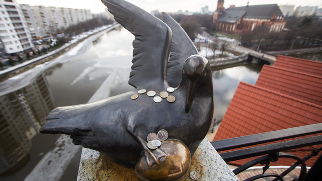 Что потереть и куда кинуть монетку: счастливые памятники Калининграда и области