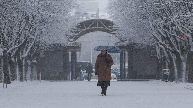 Калининградцев ожидают тёплые и снежные выходные