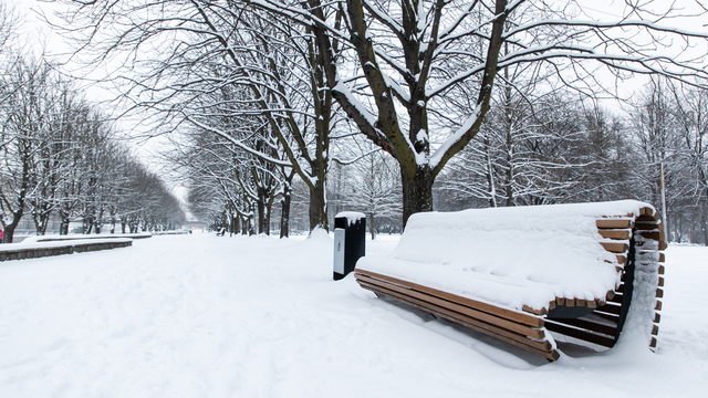 Сугробы, пробки, ДТП и травмированные пешеходы: как Калининградская область пережила снегопад