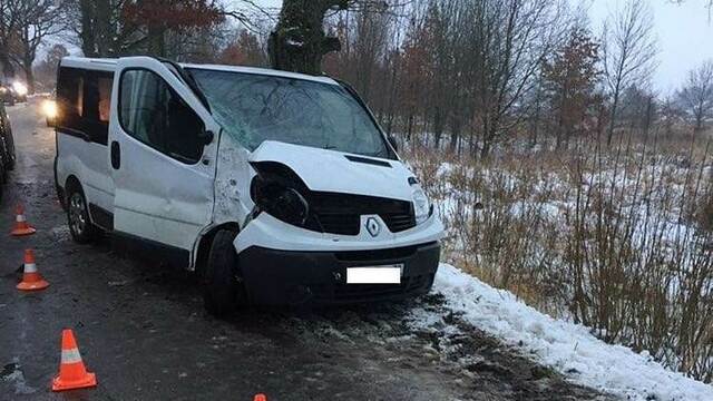 В Черняховском районе Renault врезался в дерево из-за заснеженной дороги (фото)