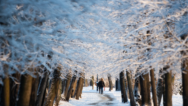 Снежная зима в Калининграде
