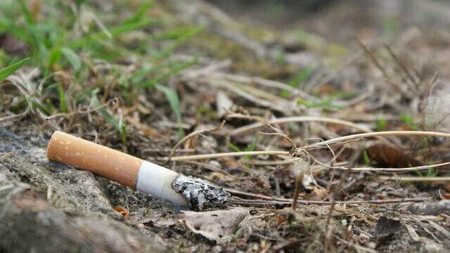 Минздрав РФ предложил запретить торговлю табаком после 2050 года