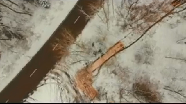 На Куршской косе положили деревянные настилы и обустроили спуск к морю (видео)