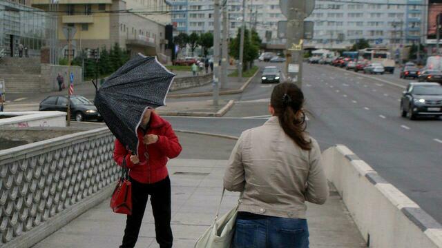 МЧС: в ближайшие три дня в Калининградской области усилится ветер