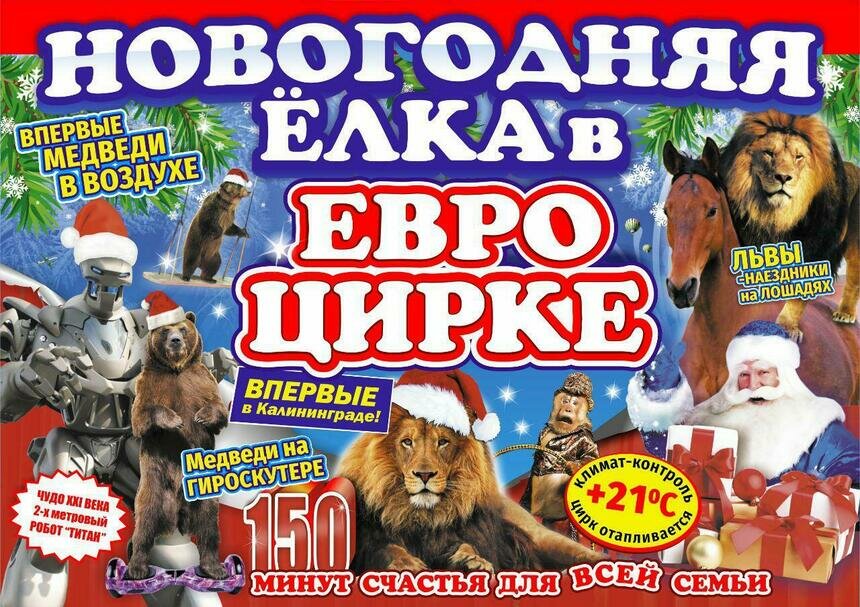 &quot;Цирковой мир&quot;: создаем незабываемое новогоднее шоу для ваших деток - Новости Калининграда