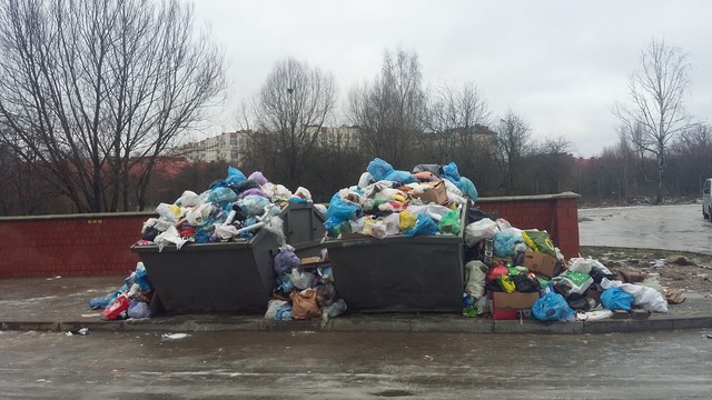 Глава Калининграда заявил о решении проблемы с вывозом мусора